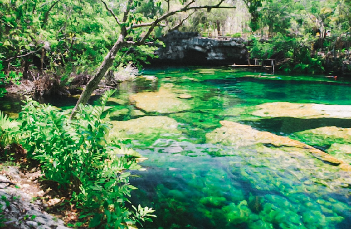 Jardin del Eden Cenotes סנוטה יפייפיה בפלאיה דל כרמן